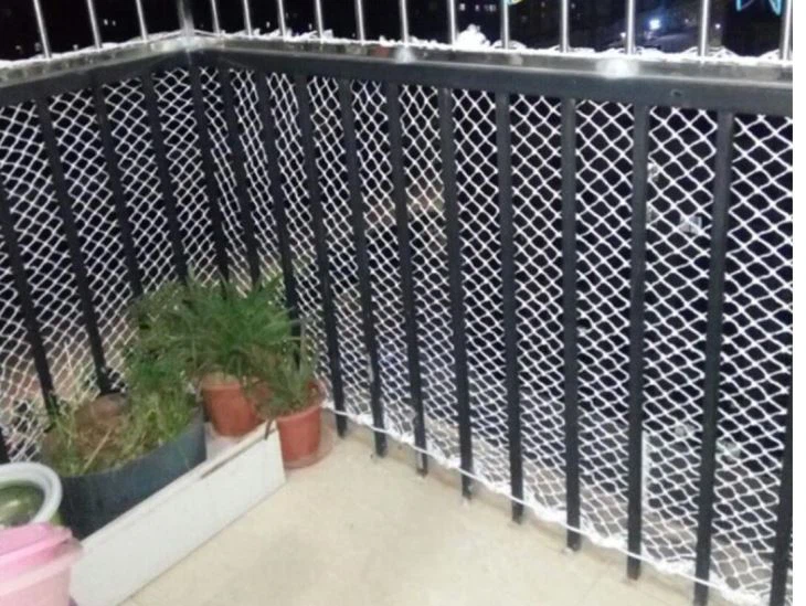 QQ图片20181114152240