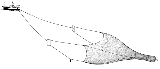Shallow Trawl Net